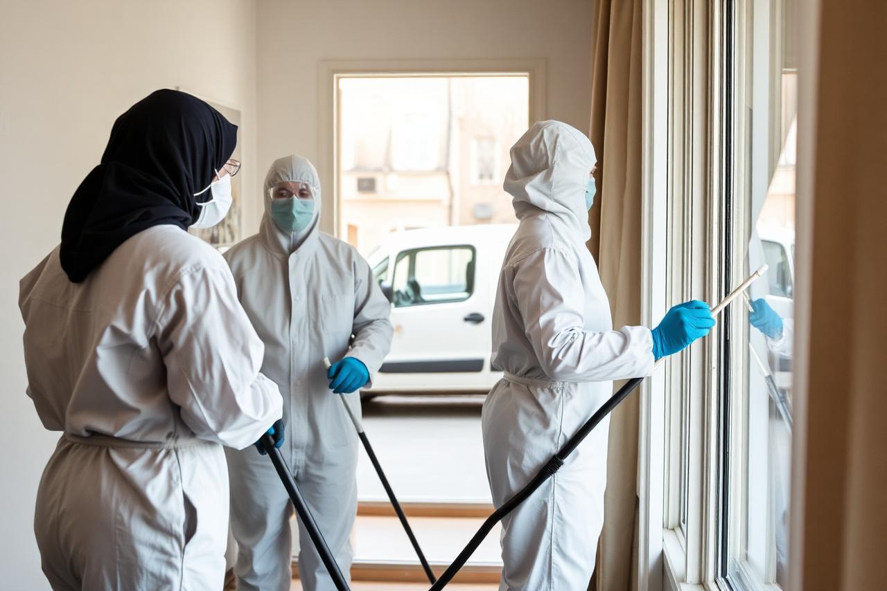 Team bei der professionellen Reinigung