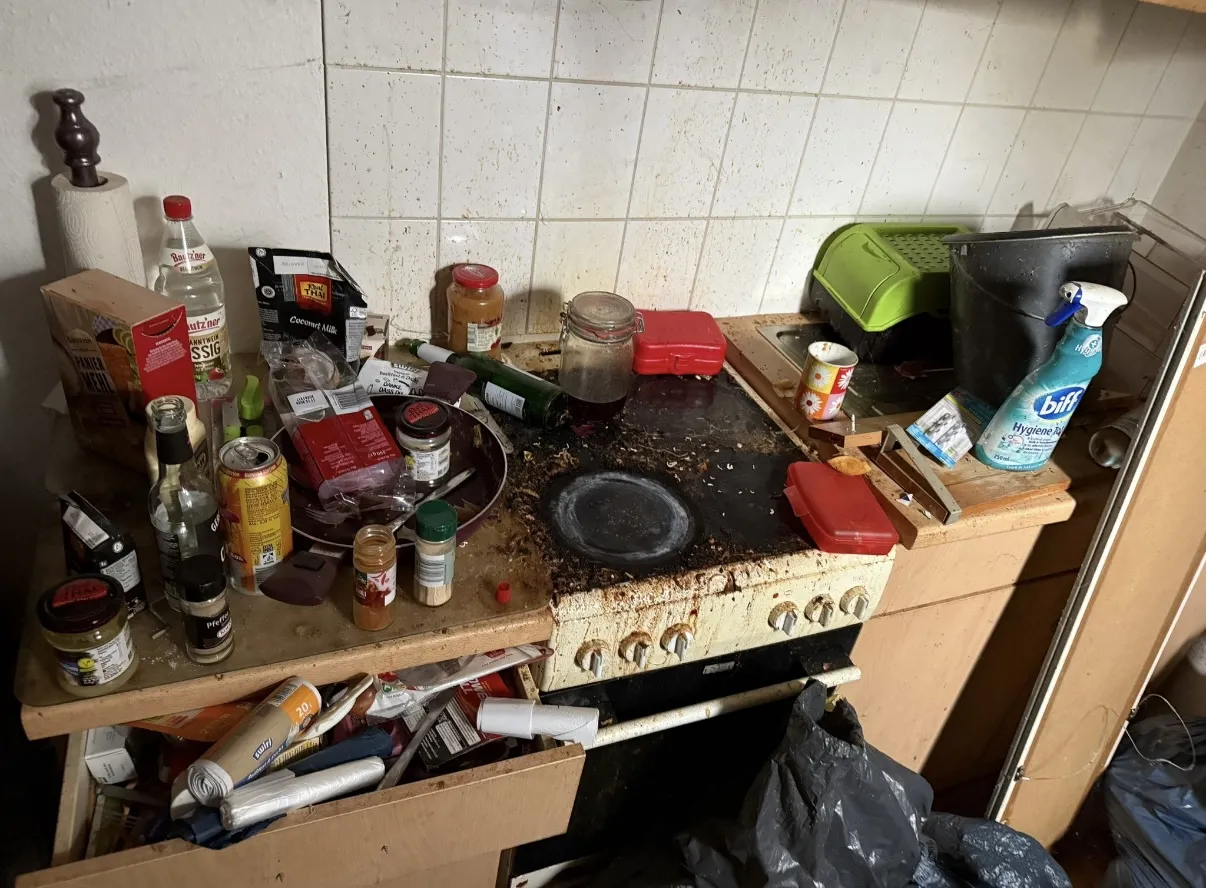 Vorher: Küchenzeile – Fettlösung & Hygiene